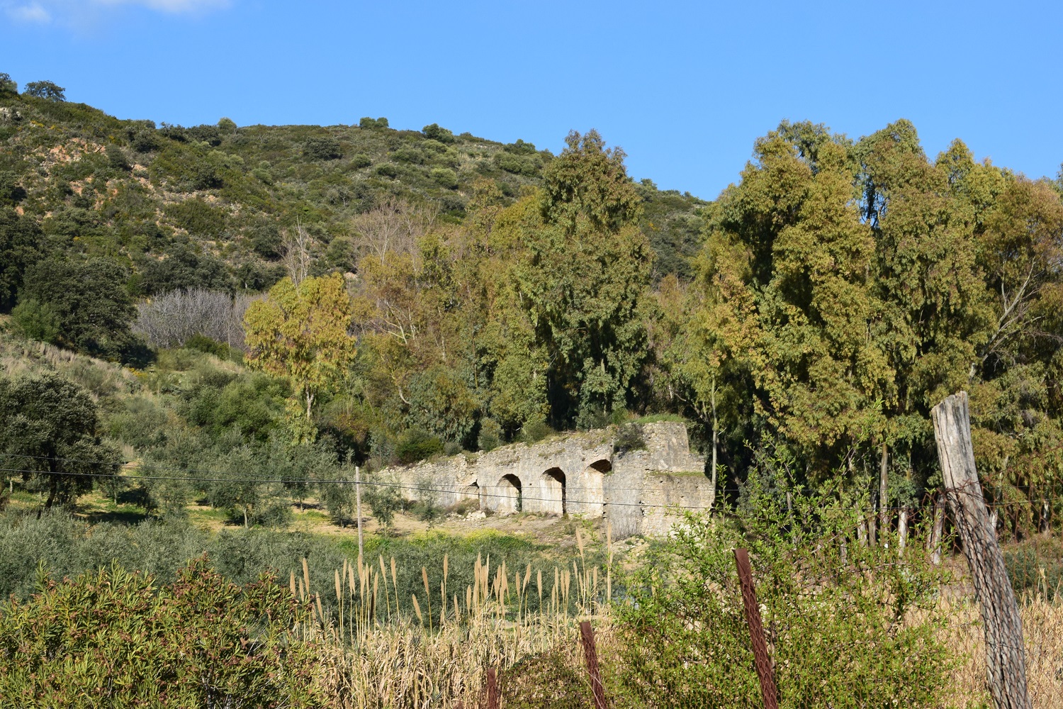Pruna Los Nacimientos – Turismo en Pruna